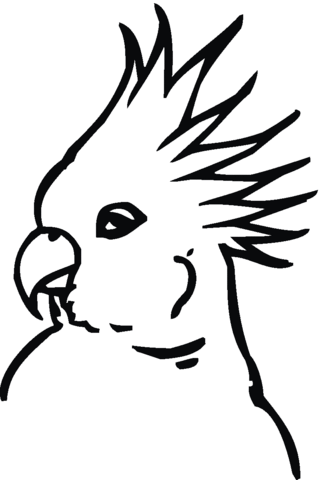 Galah Cockatoo Head Coloring Page